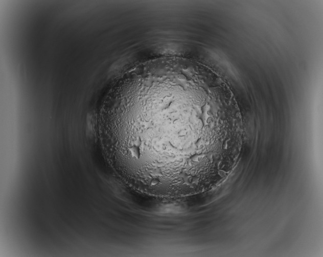 X0000093530175200710121606