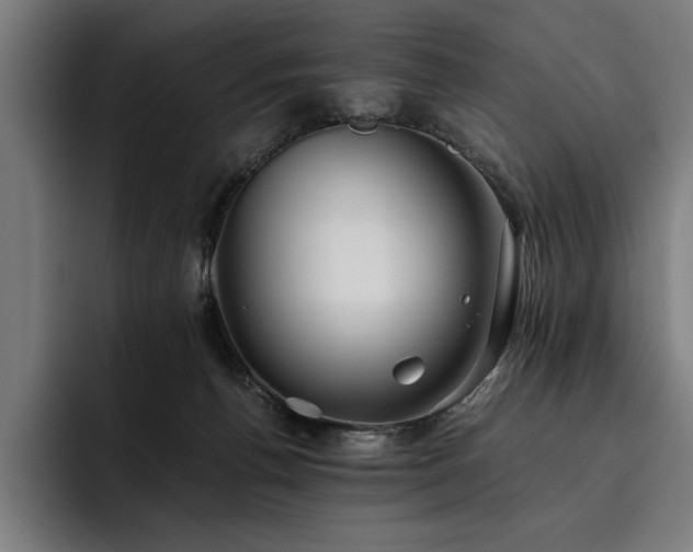 X0000093530176200710121606