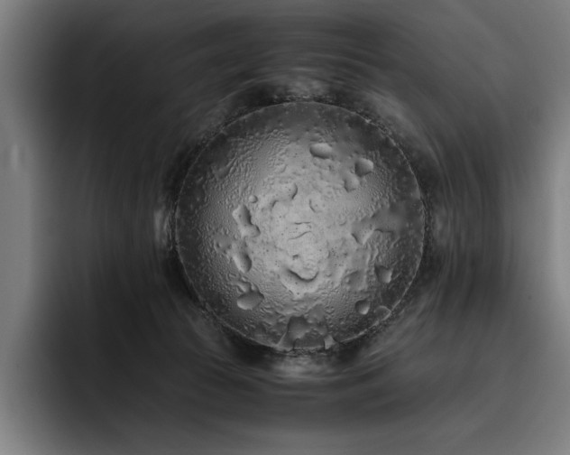 X0000093530177200710121606