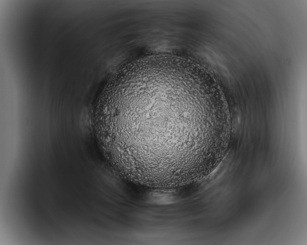X0000093530179200710121606
