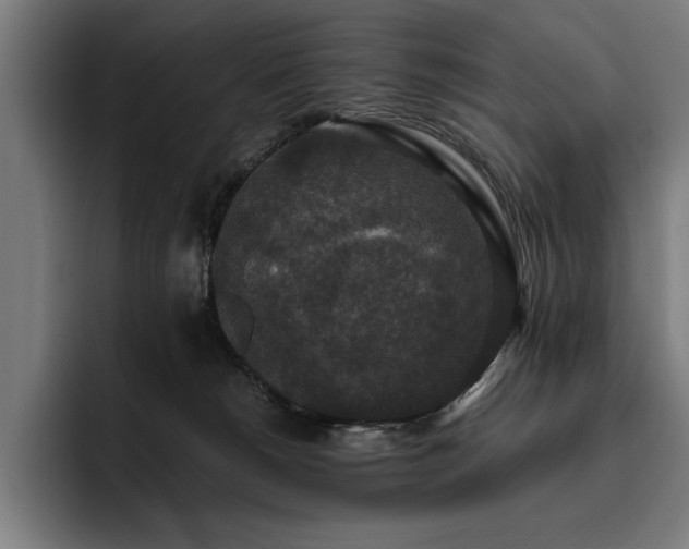 X0000093530180200710121606
