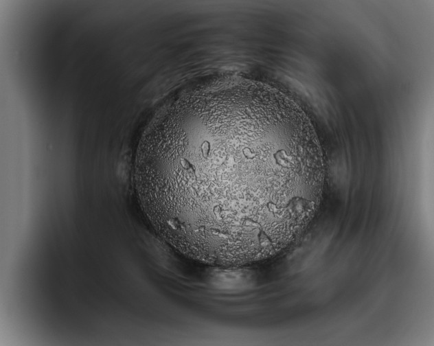 X0000093530181200710121606