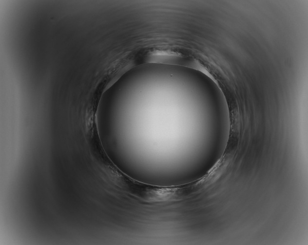 X0000093530184200710121606