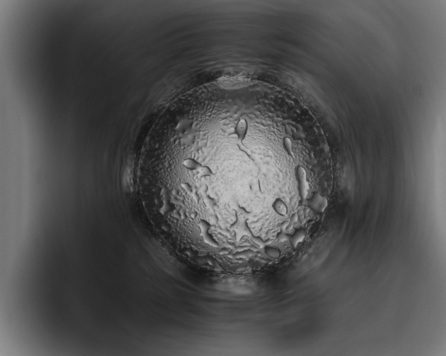 X0000093530185200710121606