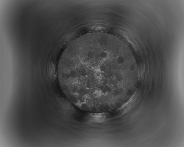X0000093530187200710121606