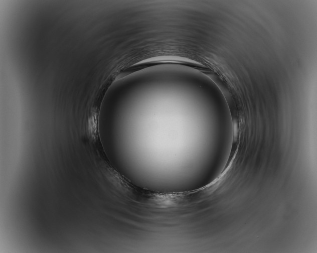 X0000093530190200710121606
