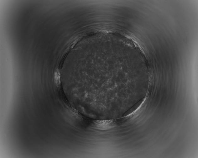 X0000093530191200710121606