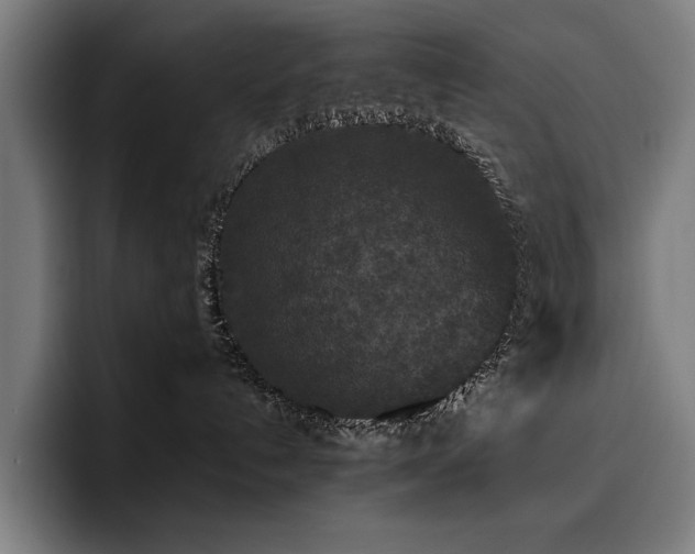 X0000093530192200710121606