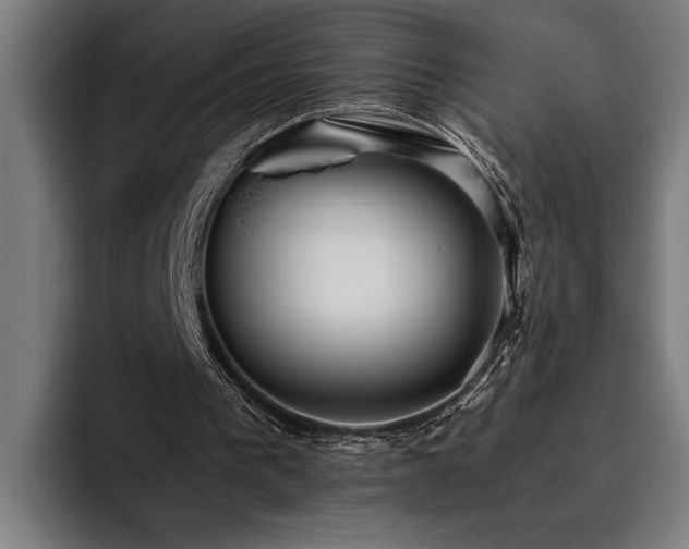 X0000093530193200710121605