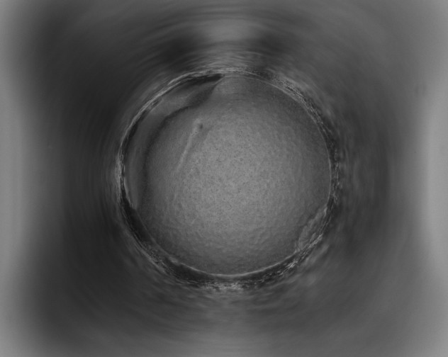 X0000093530194200710121605