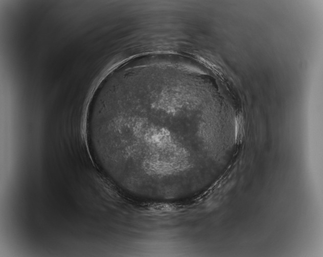X0000093530195200710121605