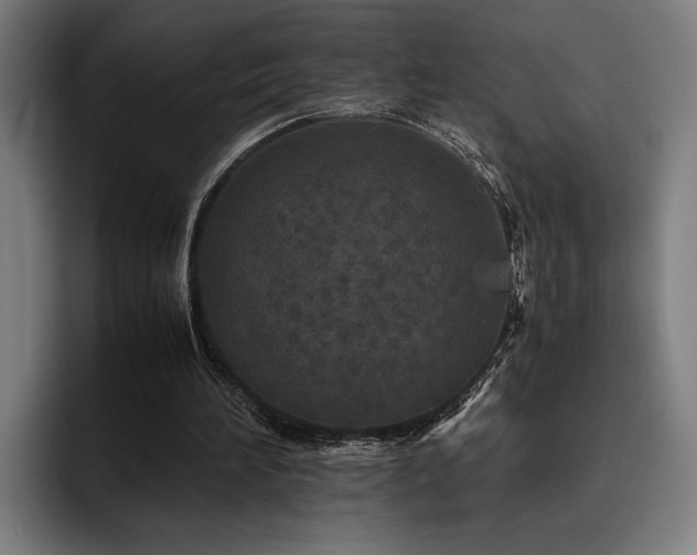 X0000093530196200710121605