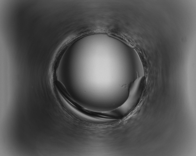 X0000093530197200710121605