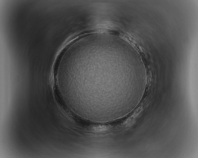 X0000093530198200710121605