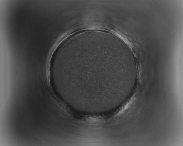 X0000093530199200710121605