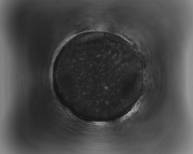 X0000093530200200710121605