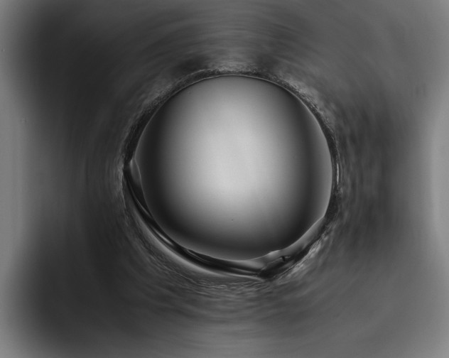 X0000093530201200710121605