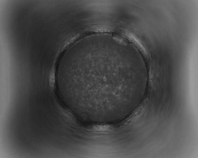 X0000093530202200710121605