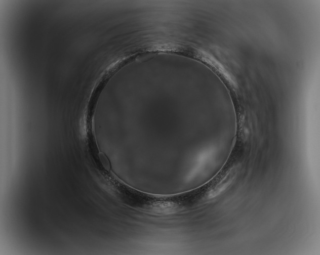X0000093530203200710121605