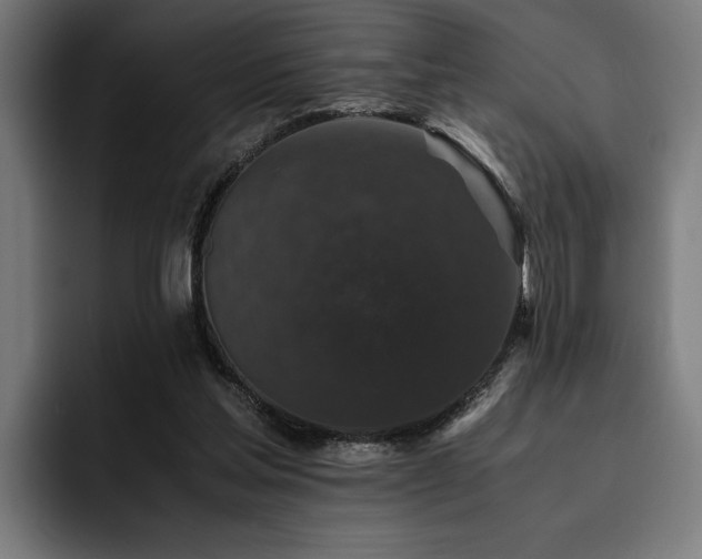 X0000093530205200710121605