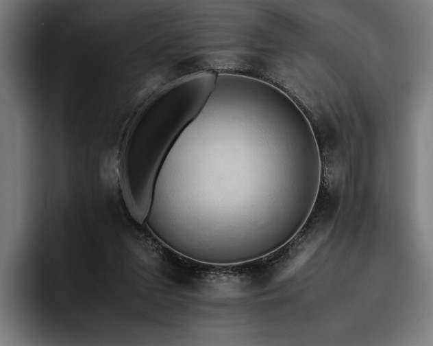 X0000093530207200710121605