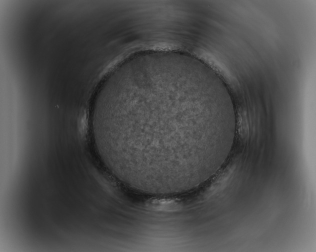 X0000093530208200710121605