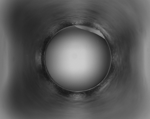 X0000093530209200710121605