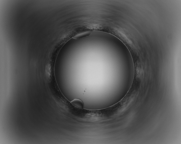 X0000093530211200710121605