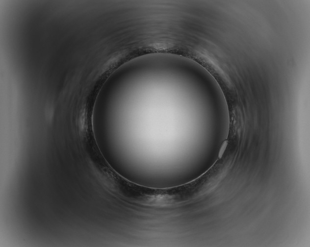 X0000093530212200710121605