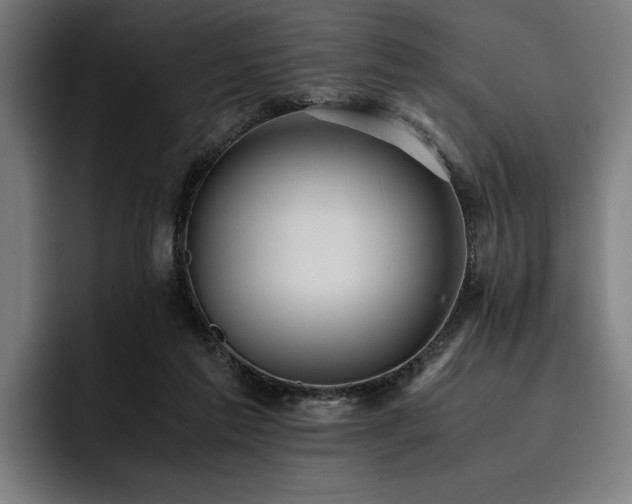 X0000093530213200710121605