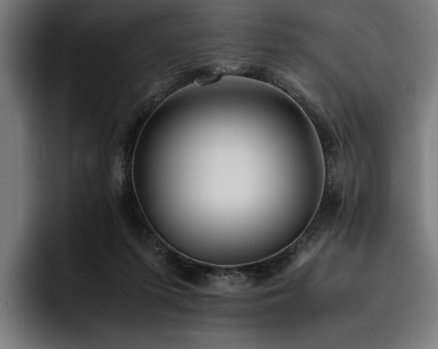 X0000093530215200710121605