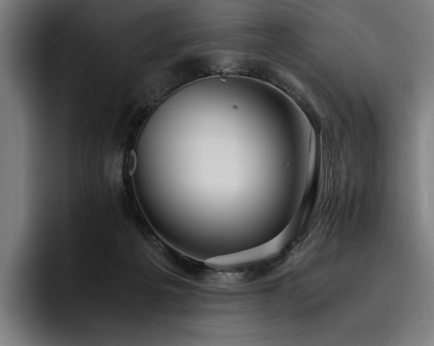 X0000093530217200710121605