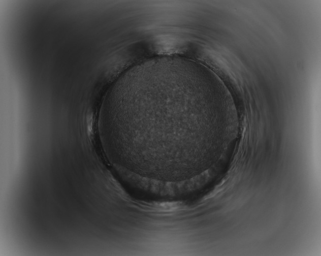 X0000093530219200710121605