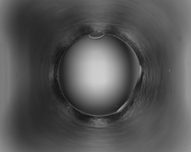 X0000093530221200710121605