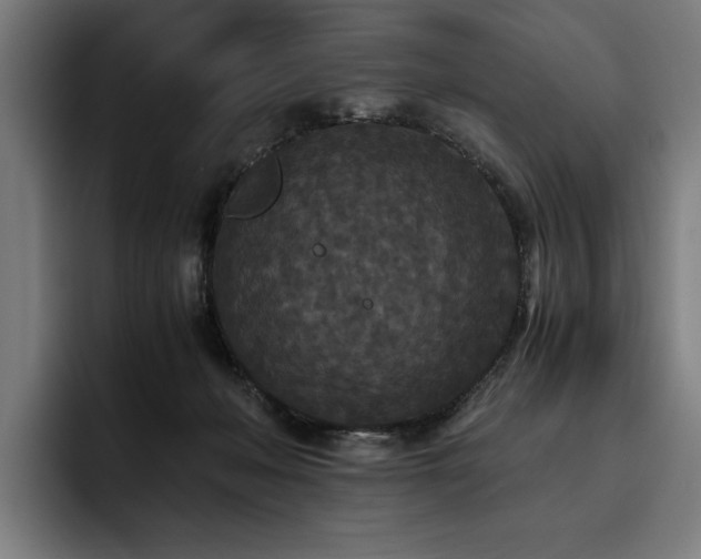 X0000093530222200710121605