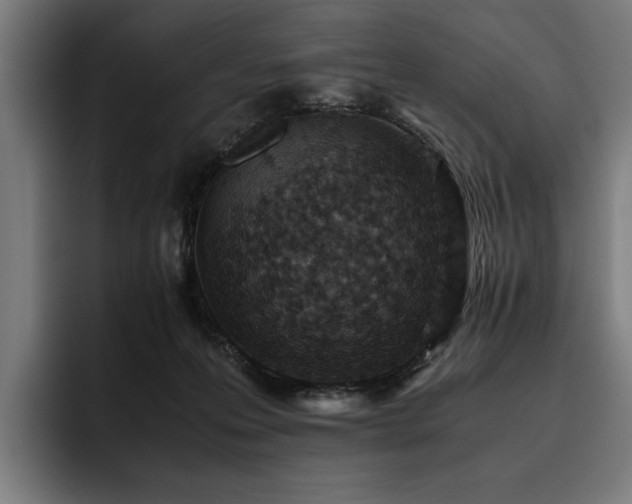 X0000093530223200710121605