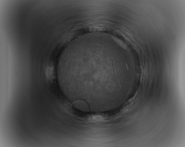 X0000093530224200710121605