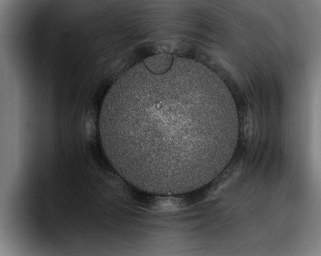 X0000093530226200710121605