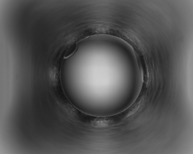 X0000093530228200710121605