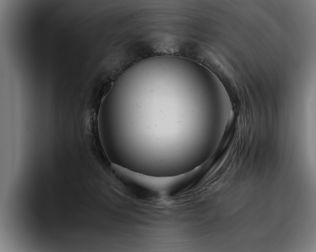 X0000093530229200710121605