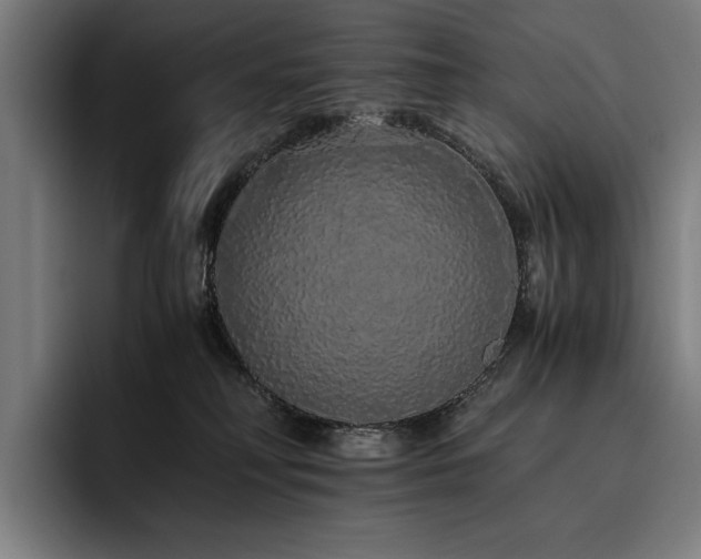 X0000093530230200710121605