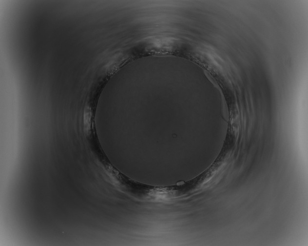 X0000093530231200710121605