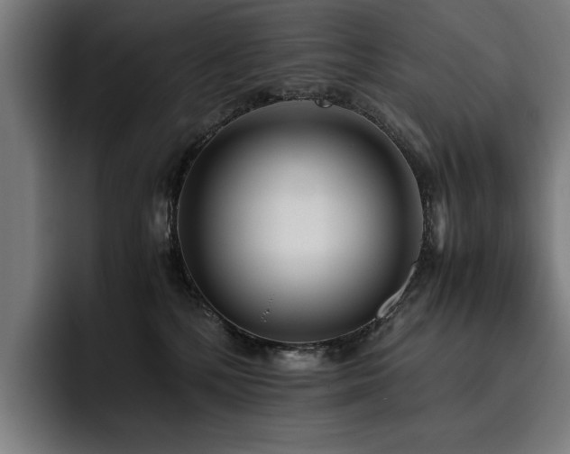 X0000093530232200710121605