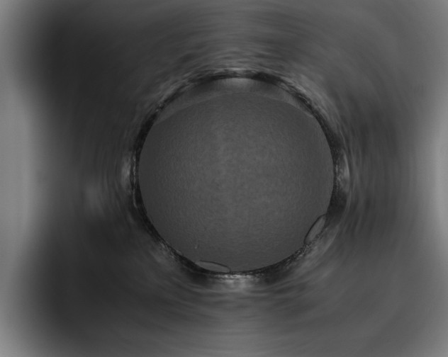 X0000093530233200710121605