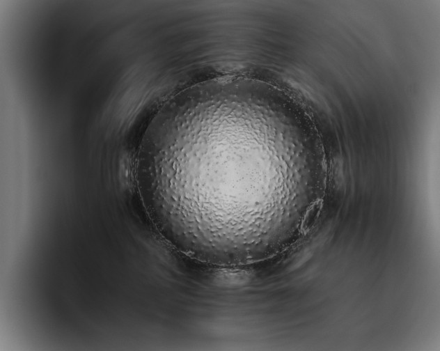 X0000093530234200710121605