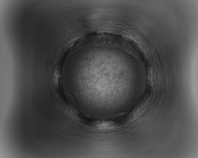 X0000093530235200710121605