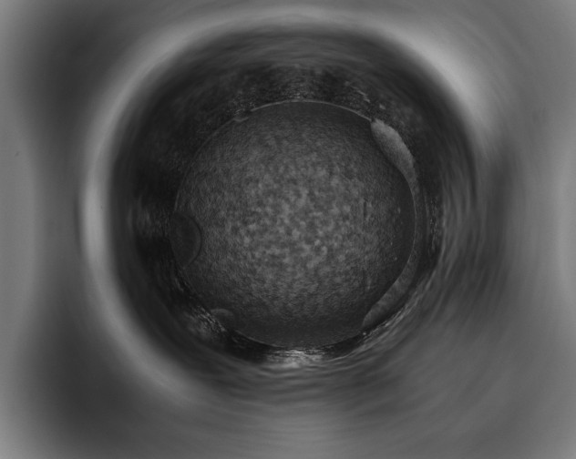 X0000093530239200710121605