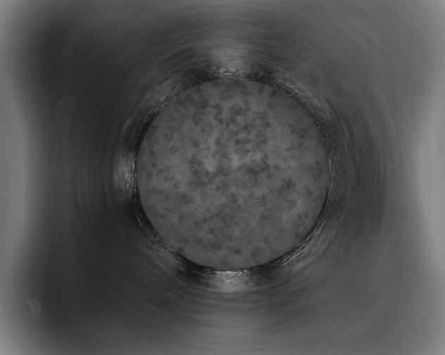 X0000093530240200710121605