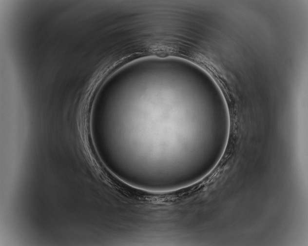 X0000093530241200710121604