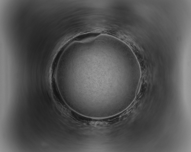 X0000093530242200710121604